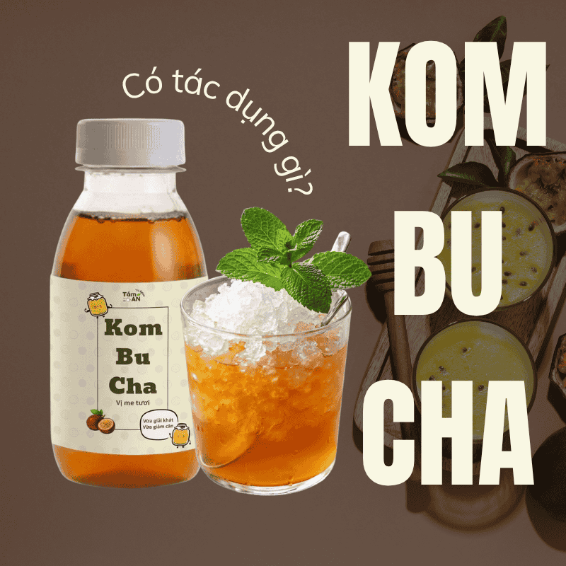Kombucha-co-tac-dung-gi