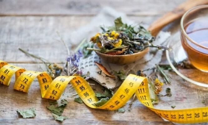 tra-detox-giam-can