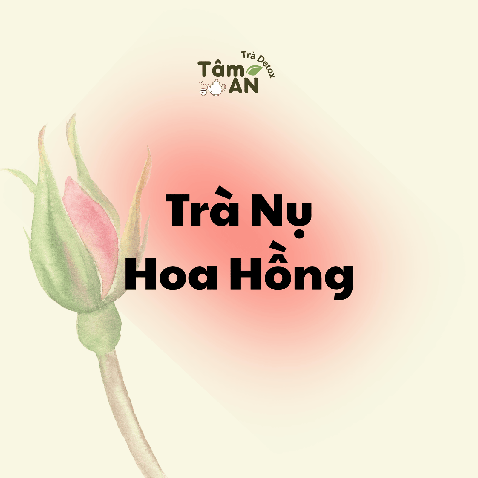 Trà Nụ Hoa Hồng - Hũ 50g - Trà Detox Tâm An - Ảnh 2