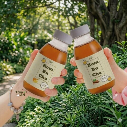 Kombucha