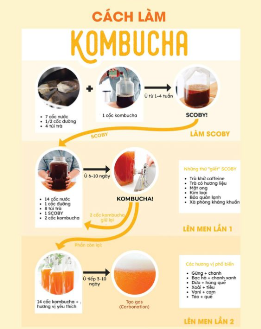 Kombucha-la-gi-3.